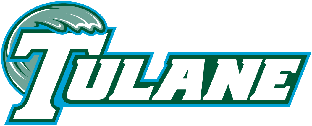 Tulane Green Wave 1998-Pres Wordmark Logo v5 diy iron on heat transfer